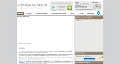 Desktop Screenshot of consaudexpert.com